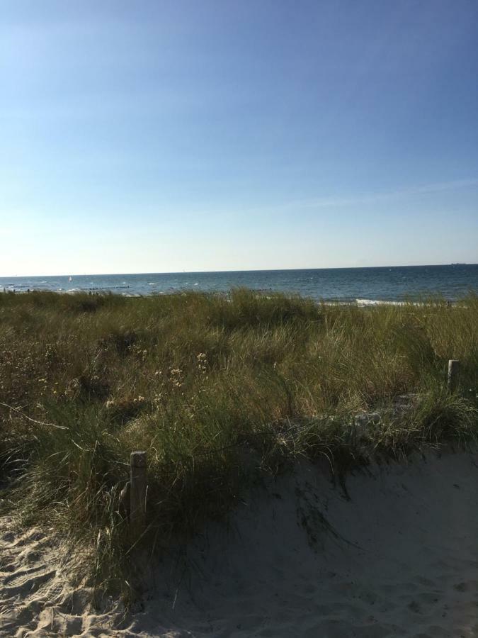 Ostseebungalow Haninghuus Diedrichshagen  Kültér fotó